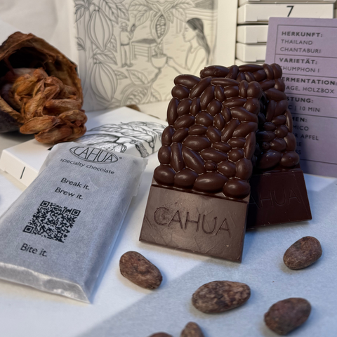 Origin Tasting Box N°4 - 6 x 70 % Bean-to-Bar Schokolade aus verschiedenen Herkunftsländern