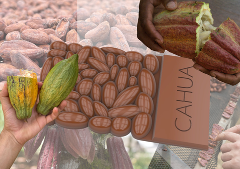 **Pre-Sale 2025** Specialty Cacao & Chocolate Adventskalender | 24x 70% Schokolade aus verschiedenen Kakaobohnen | Zum pur verkosten oder als Trinkschokolade